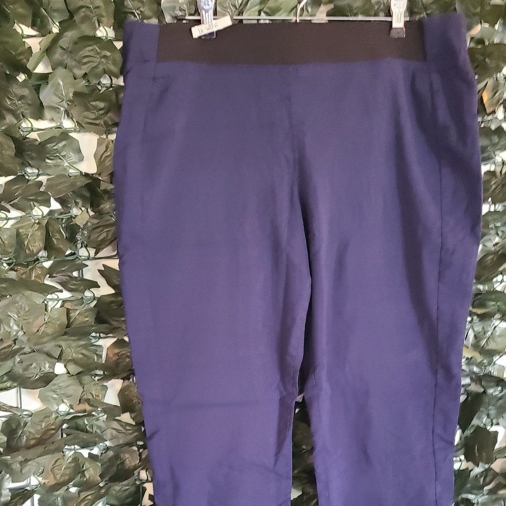 NWOT Style Co. Navy Tummy Control Trousers